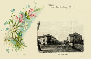 Senftenberg